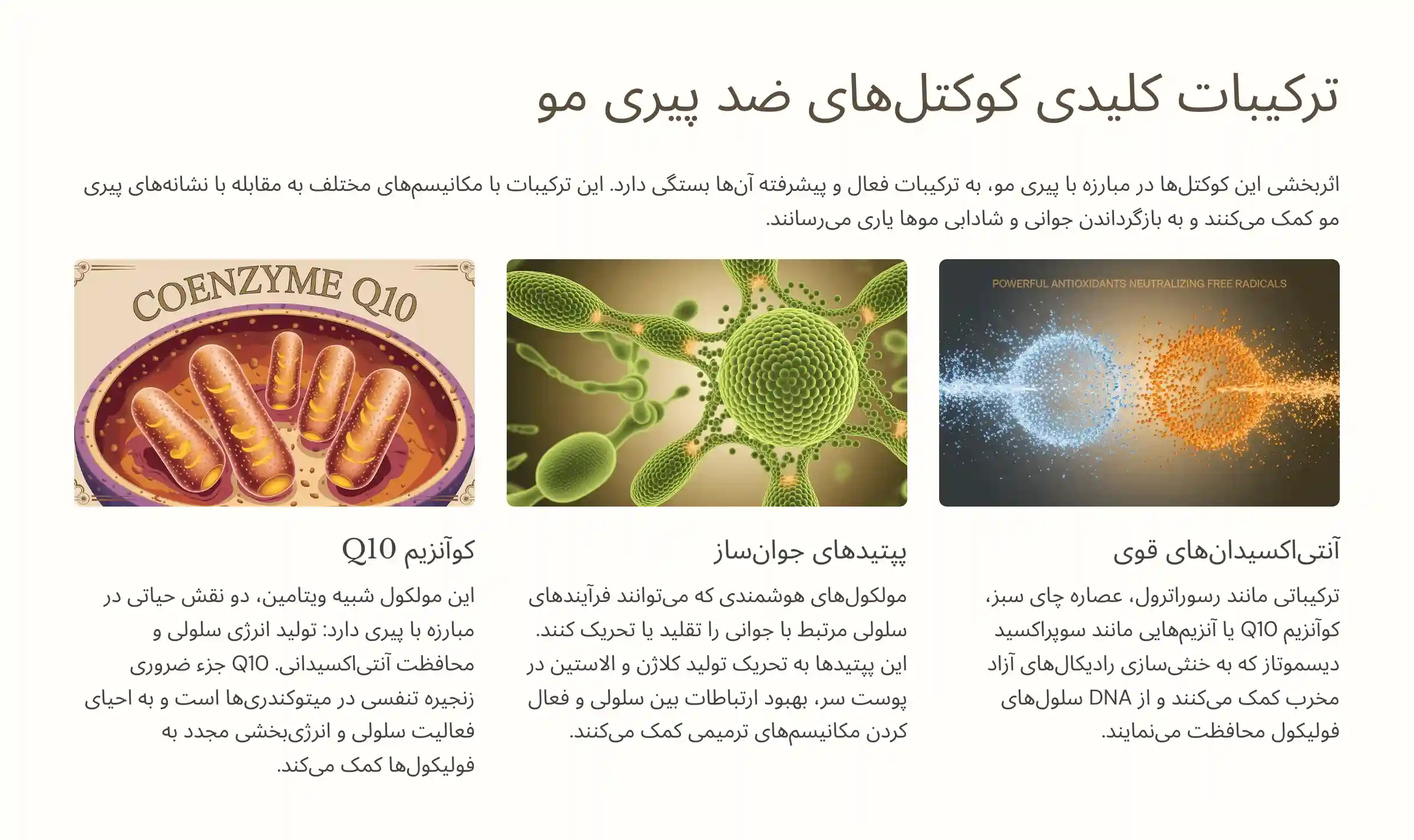 ترکیبات کلیدی رایج (آنتی‌اکسیدان‌های قوی، پپتیدهای جوان‌ساز، Q10)