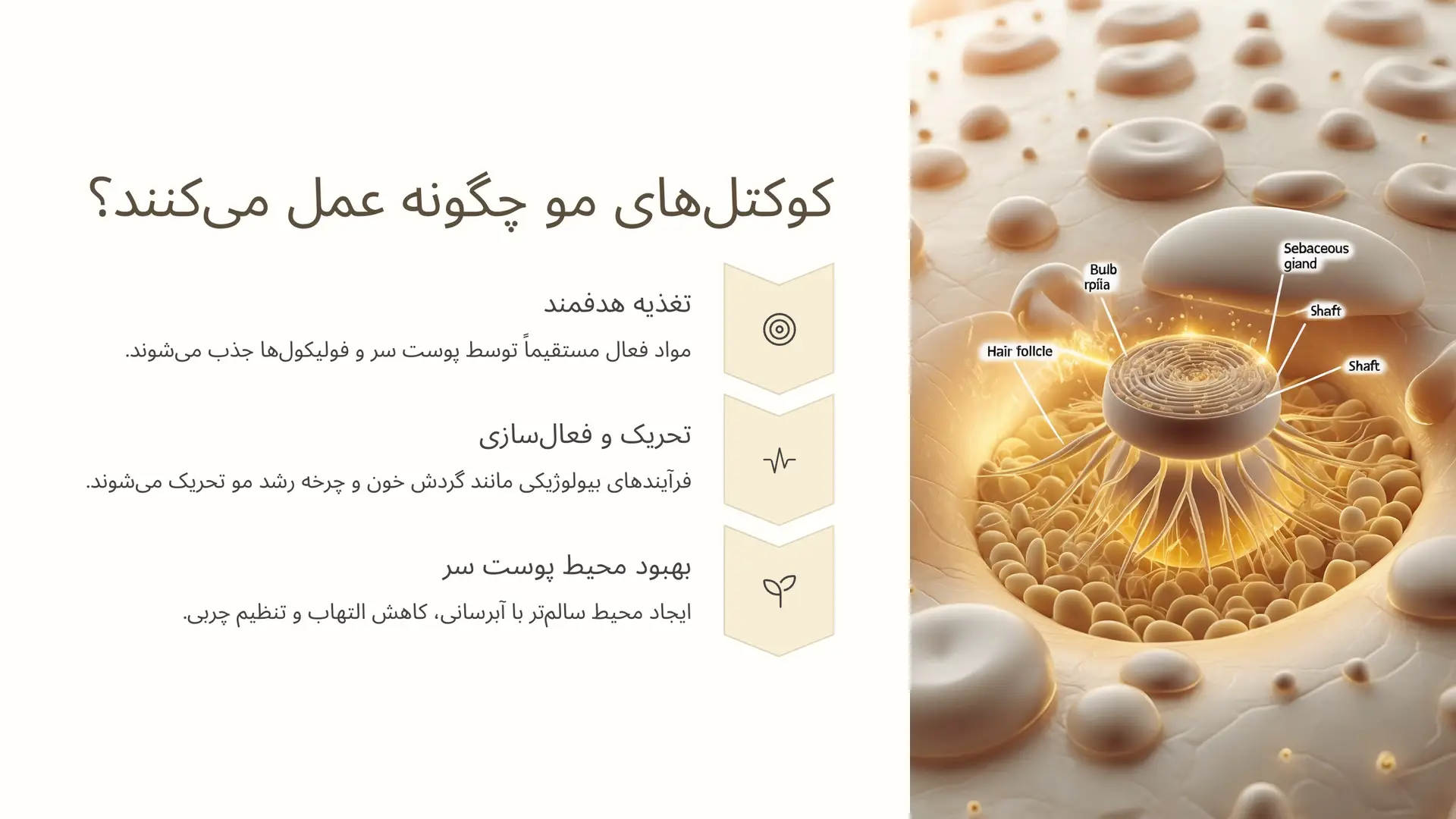 کوکتل‌های مو چگونه عمل می‌کنند؟ (مکانیسم اثرگذاری)