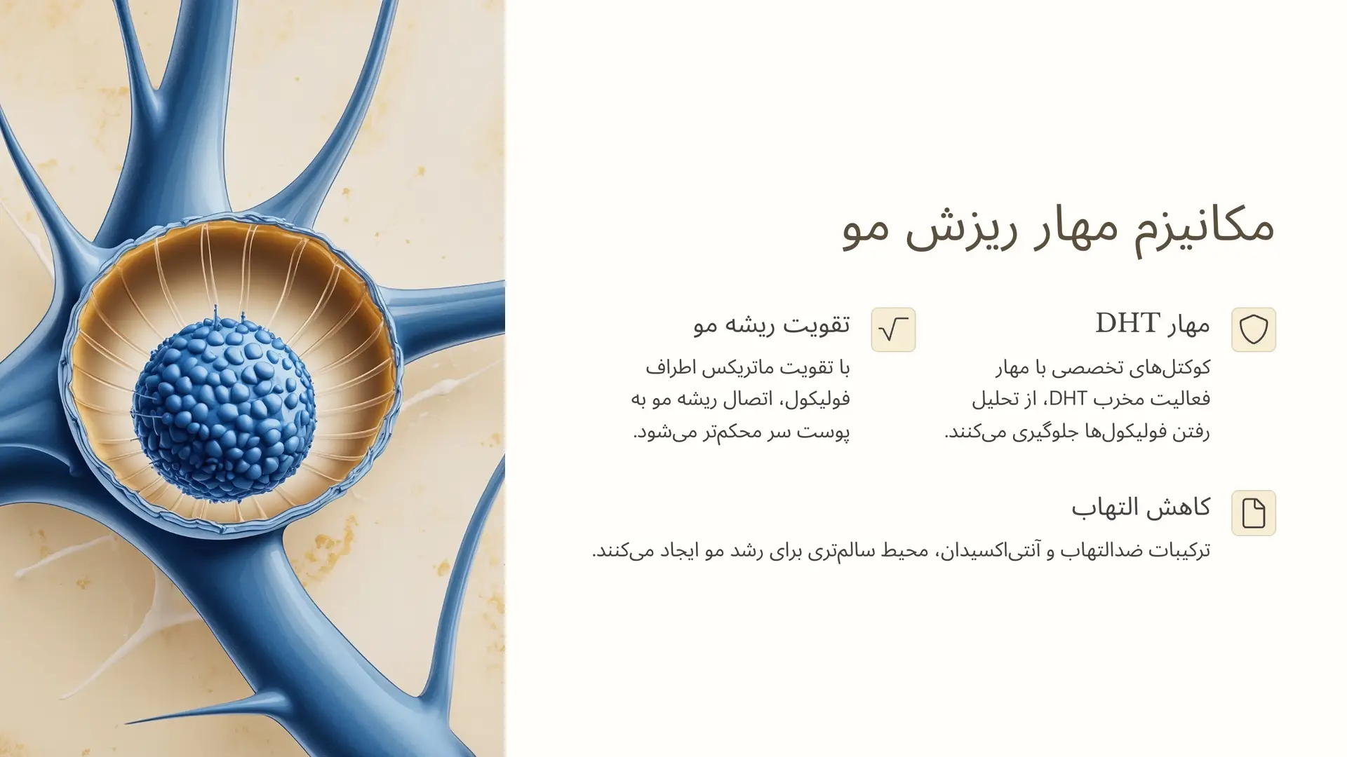  کوکتل تراپی چگونه به طور مستقیم مانع ریزش مو می‌شود؟