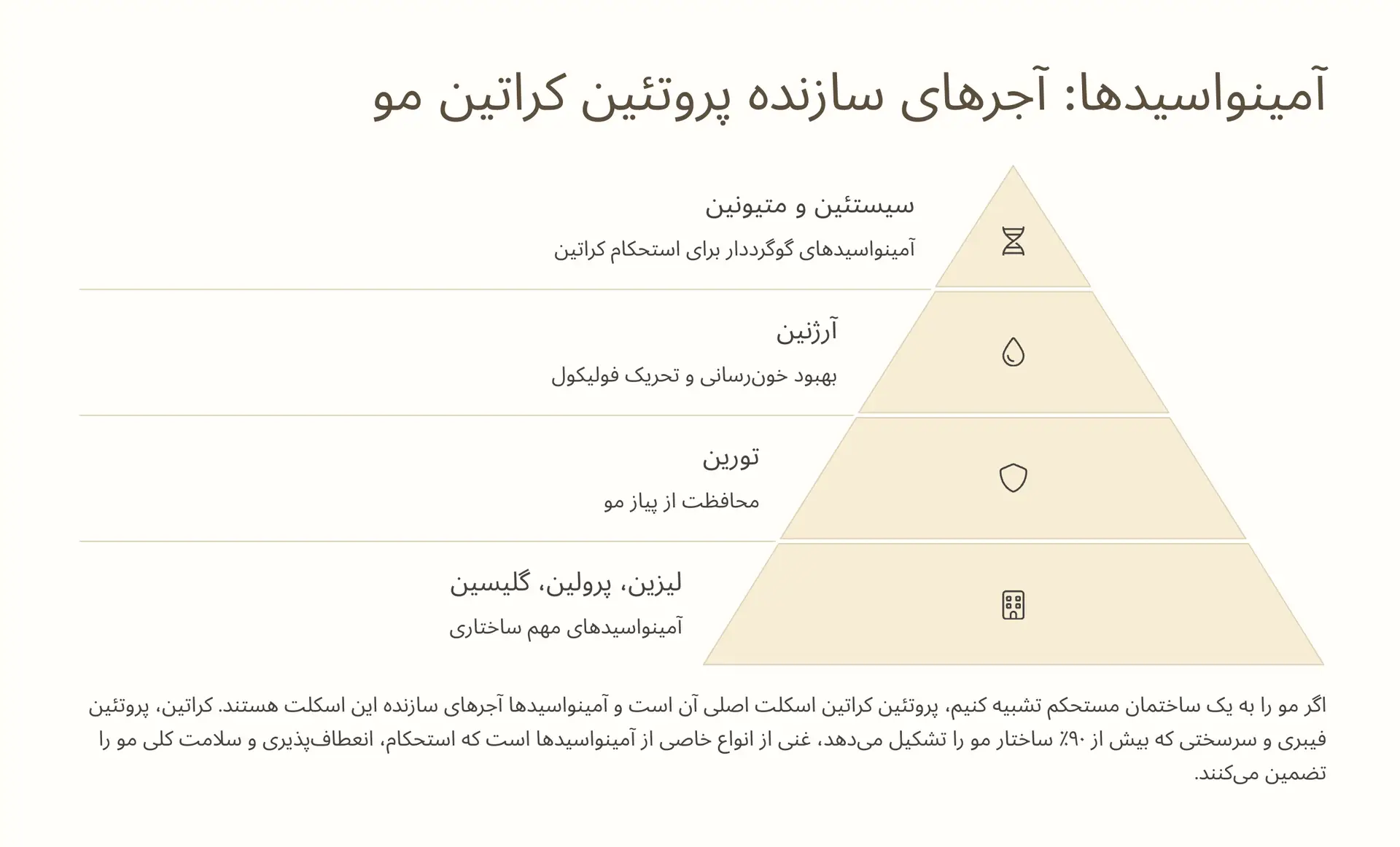 آمینواسیدها: آجرهای سازنده پروتئین کراتین مو 