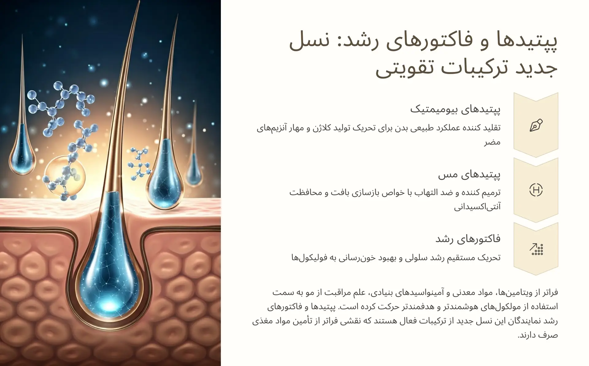 پپتیدها و فاکتورهای رشد: نسل جدید ترکیبات تقویتی و ترمیمی